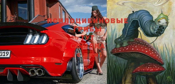 Альфа ПВП Вяземский