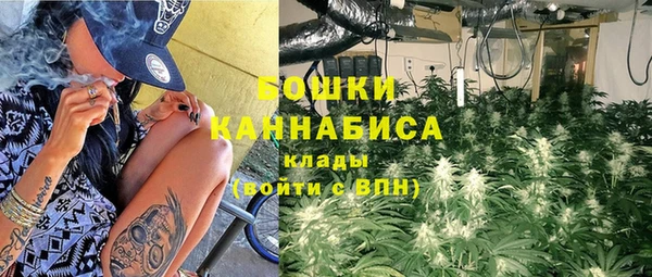 Альфа ПВП Вяземский
